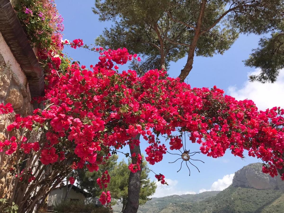 Seglia San Bernardo Villaggio Turistico Da Tonino المظهر الخارجي الصورة